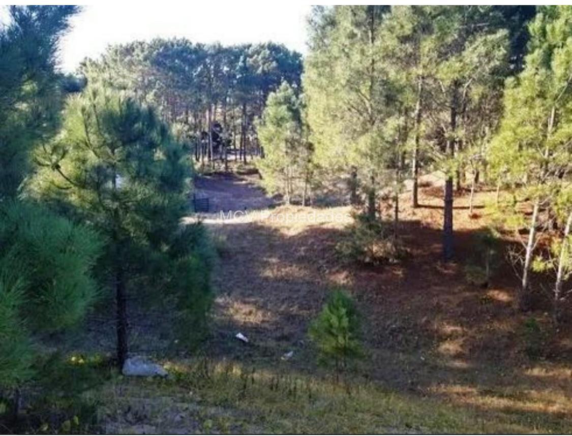 DEPORTIVA 124- LOTE EN VENTA — foto 4