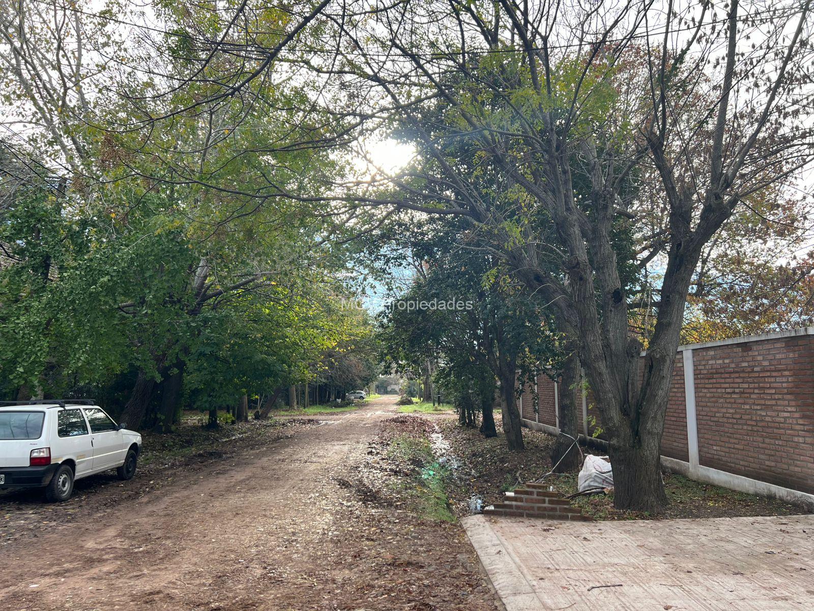 RANELAGH - Casa en una planta c/pileta s/dos lotes en esquina - actualizada — foto 42