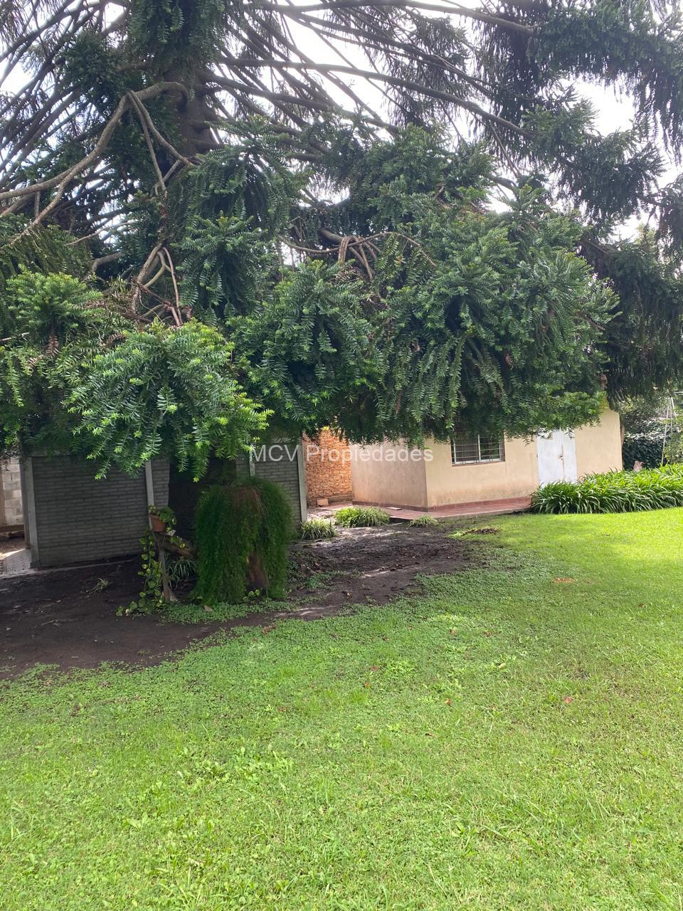 CASA QUINTA sobre lote de cuarto de manzana - en Bosques, a 300 mts de Cno. Belgrano — foto 12