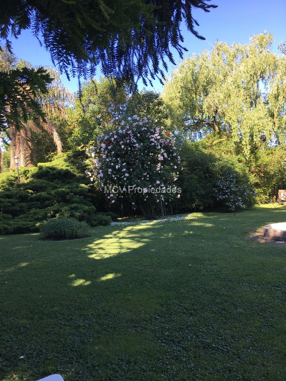 CASA QUINTA sobre lote de cuarto de manzana - en Bosques, a 300 mts de Cno. Belgrano — foto 37