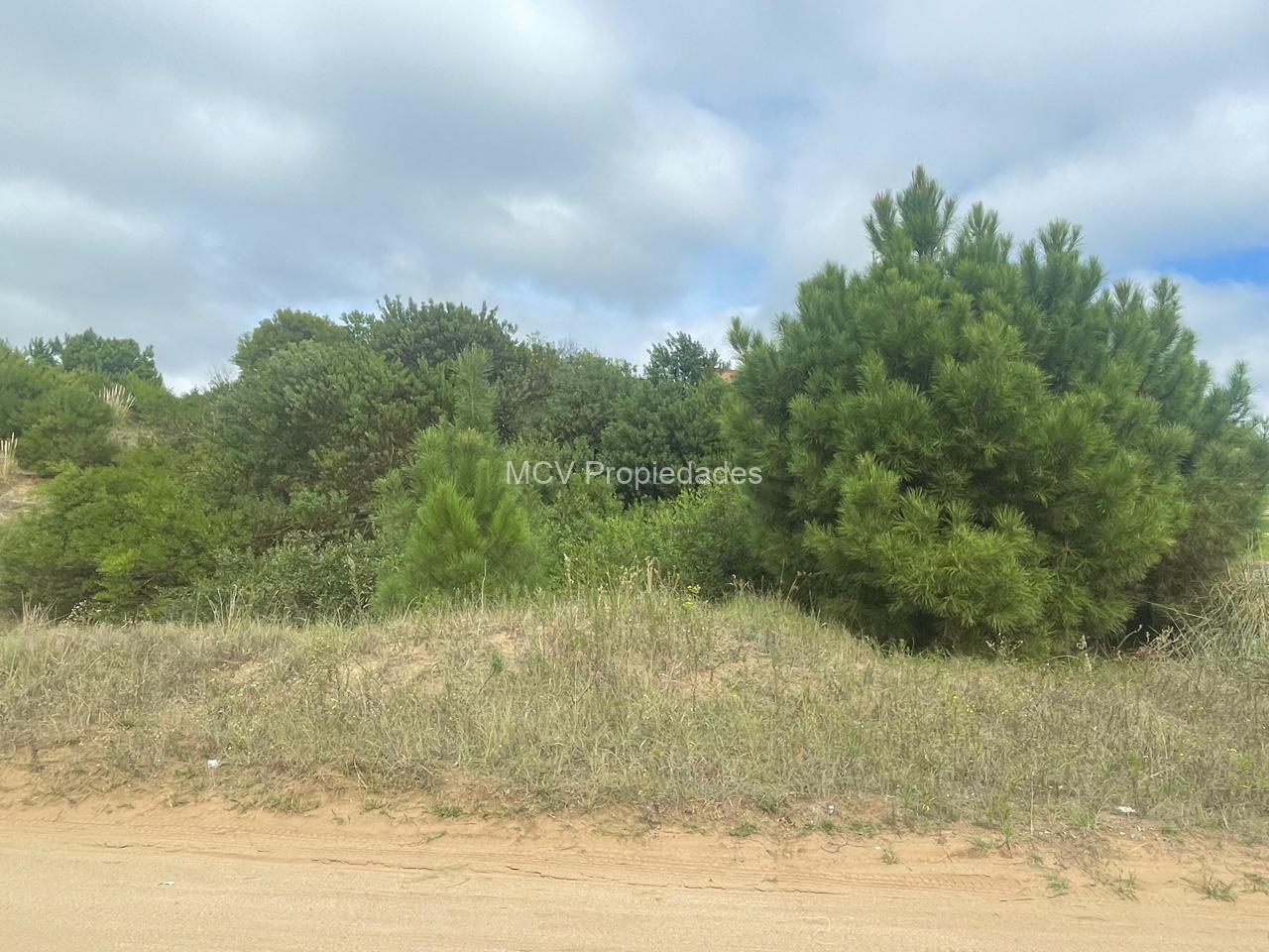 SENDEROS III Lote 377 OPORTUNIDAD!!! — foto 5