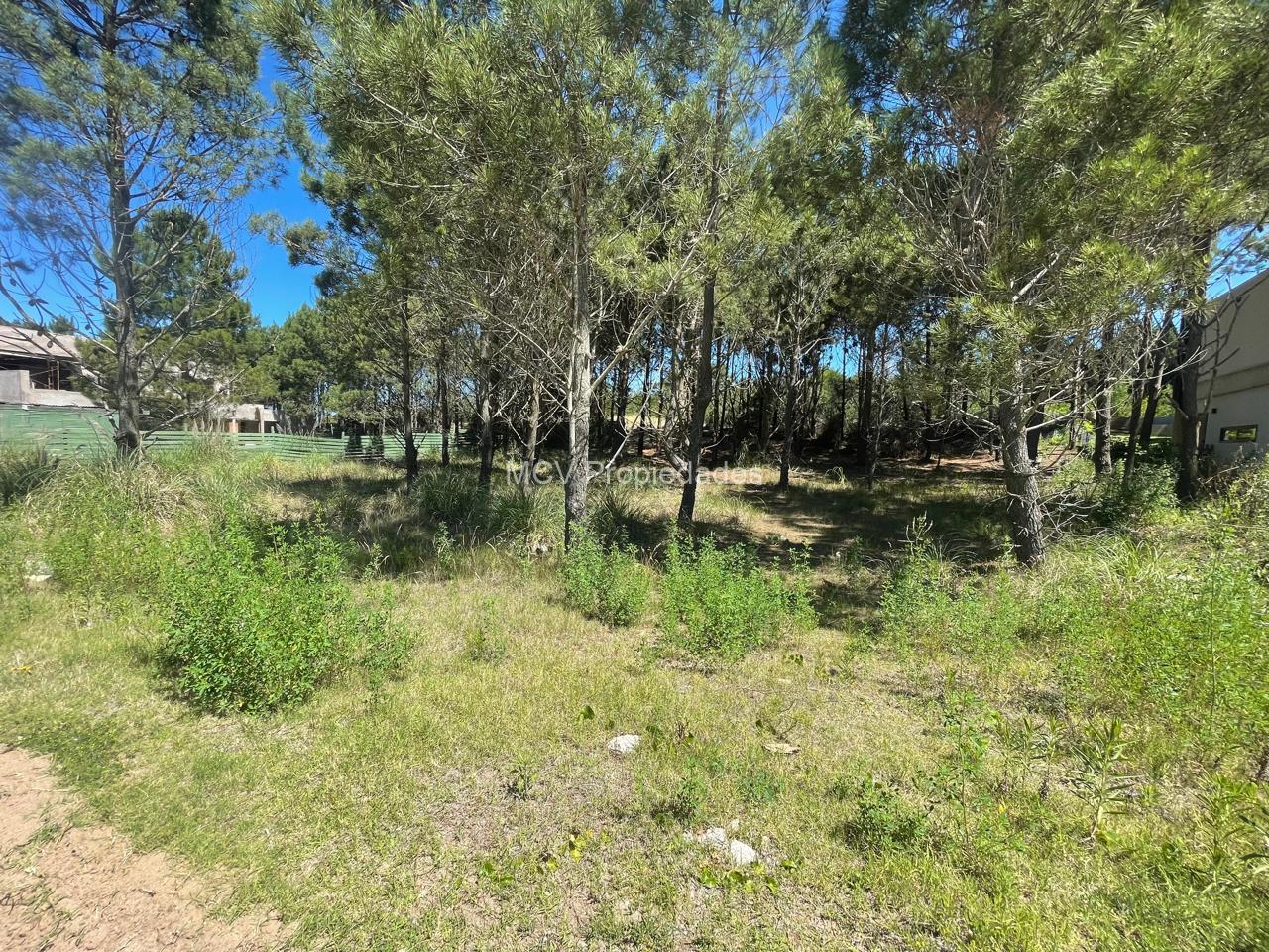 MARTIMO III 145 a metros del parador — foto 3