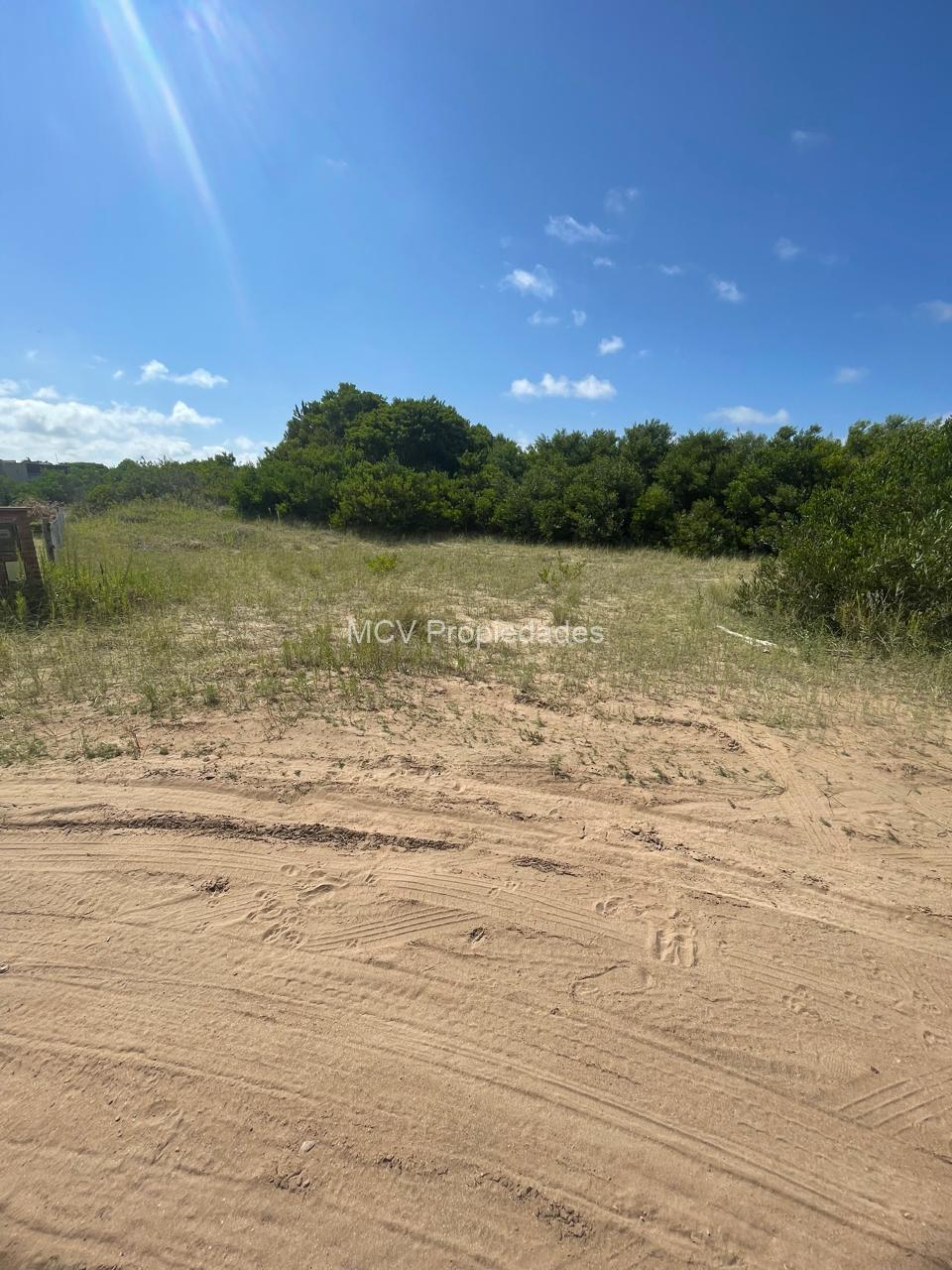 ECUESTRE 355 - Lote — foto 5
