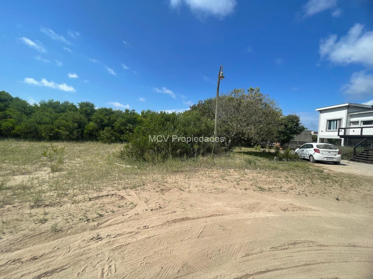 ECUESTRE 355 - Lote — foto 6