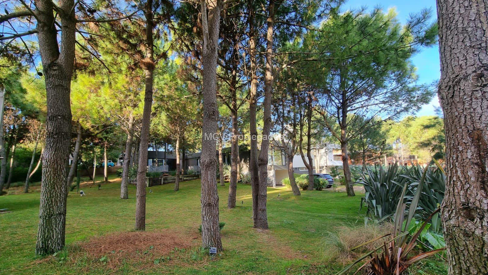 RESIDENCIAL 1 117 p/6 pax c/pileta climatizada eléctrica — foto 2