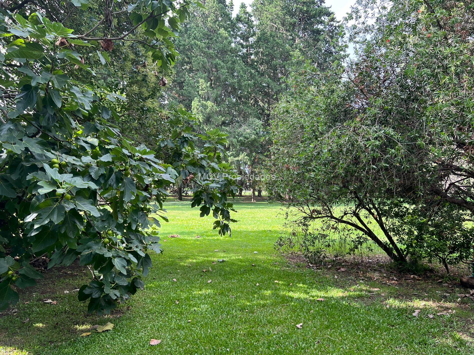 CLUB EL CARMEN - Casa con fondo libre!! OPORTUNIDAD!! — foto 21