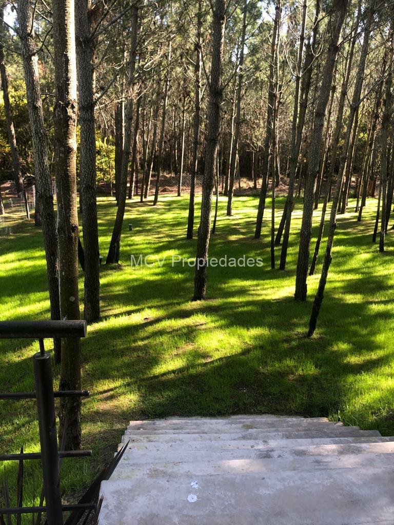 SENDEROS IV 246 p/ 8 pax — foto 31