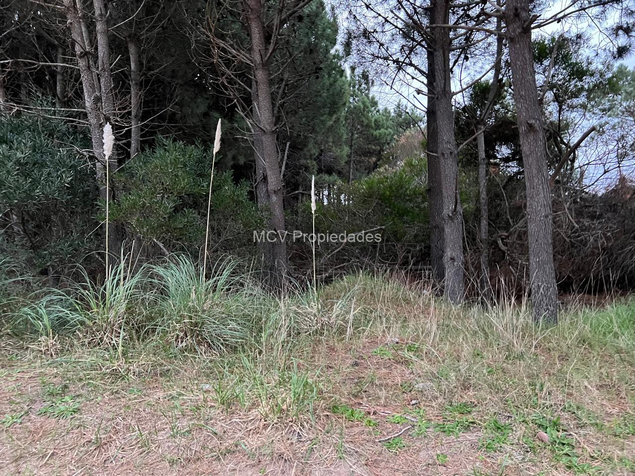 RESIDENCIAL 2 180 - LOTE EN VENTA - Excelente Ubicación!!! — foto 2