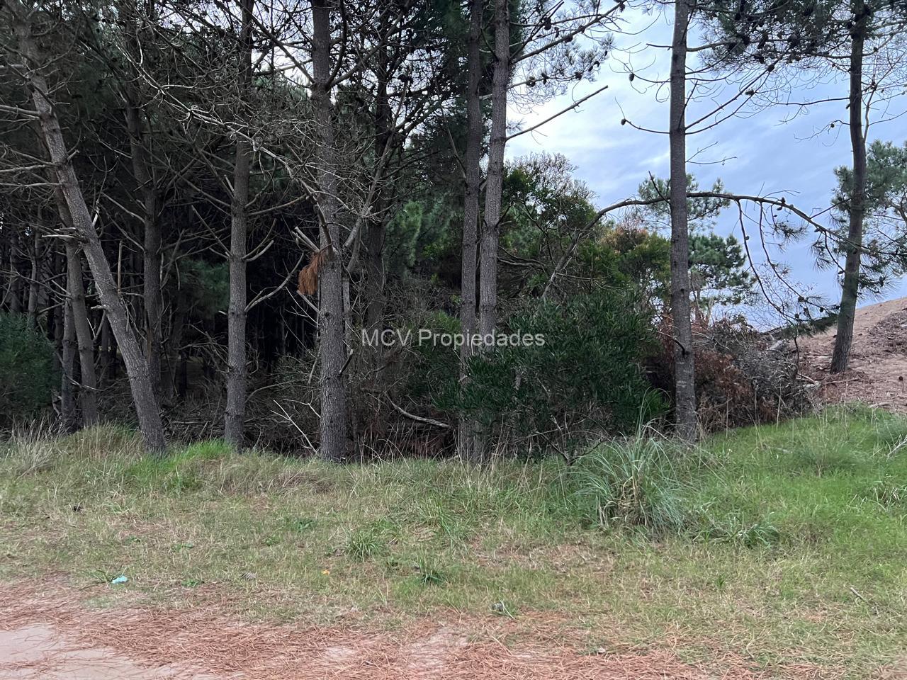 RESIDENCIAL 2 180 - LOTE EN VENTA - Excelente Ubicación!!! — foto 4