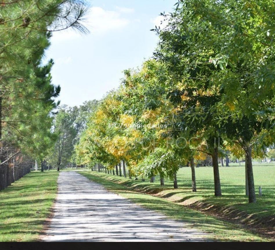 CAMPOS DE ROCA II - Lote c/ubicación central en coul de sac — foto 21