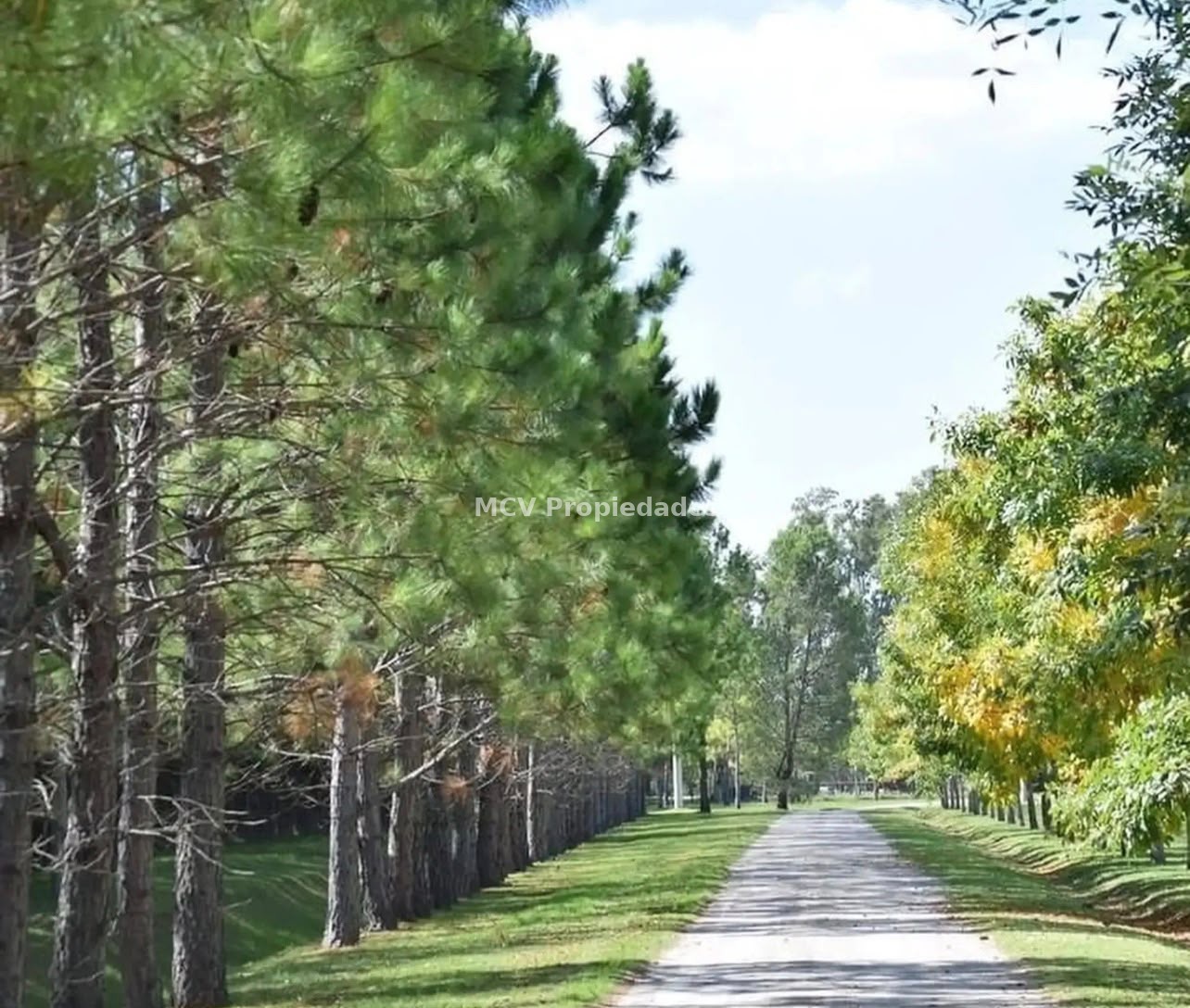 CAMPOS DE ROCA II - Lote c/ubicación central en coul de sac — foto 22