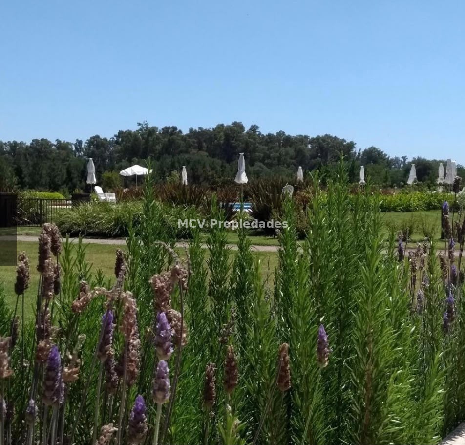 CAMPOS DE ROCA II - Lote c/ubicación central en coul de sac — foto 23