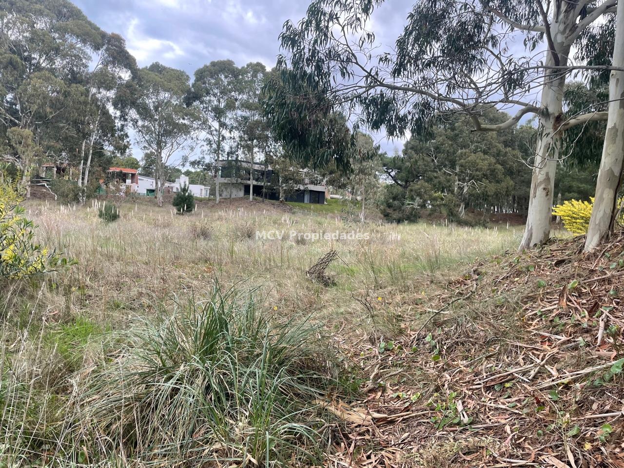 Ecuestre 239 Lote a La Venta! — foto 4
